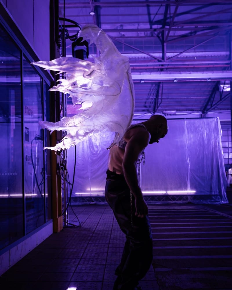 Australasian Dance Collective | Relic, photo 4