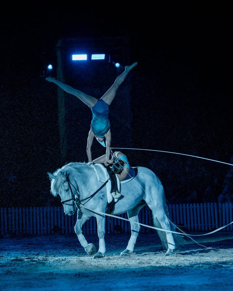 Cavalcade, photo 4