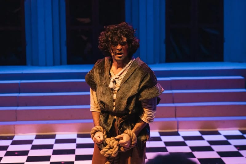 Hunchback of Notre Dame, photo 2