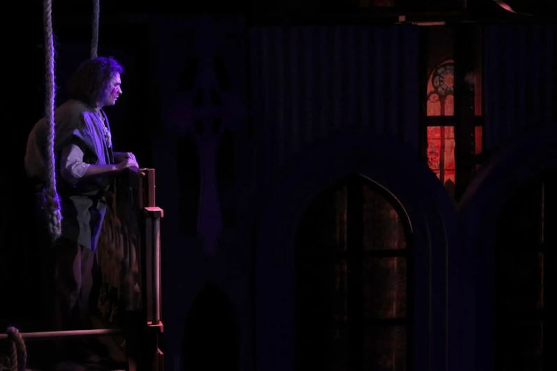 Hunchback of Notre Dame, photo 9