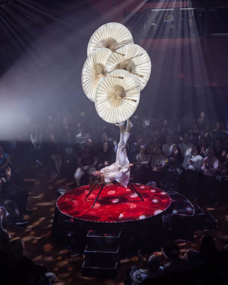 La Cirque, photo 5